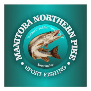 Póster Pesca Manitoba Pike