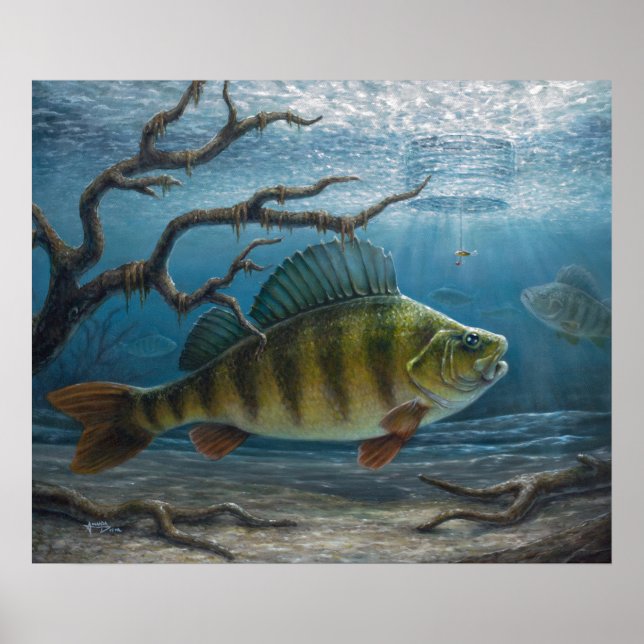Poster Pesca no Gelo de Perca (Frente)