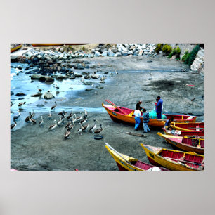 Poster Pescadores e pelicanos, Valparaiso, o Chile