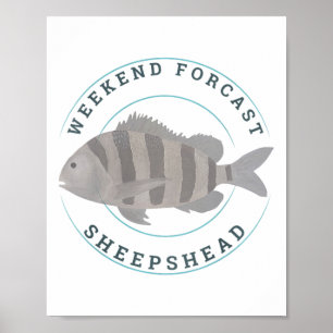 Poster Pescaria de Cabeça de Ovelha Divertido Pescador En