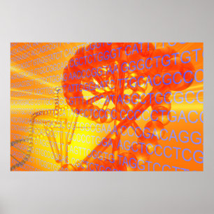 Póster Pesquisa genética