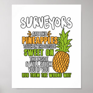 Poster Pesquisadores São Como Ananases.