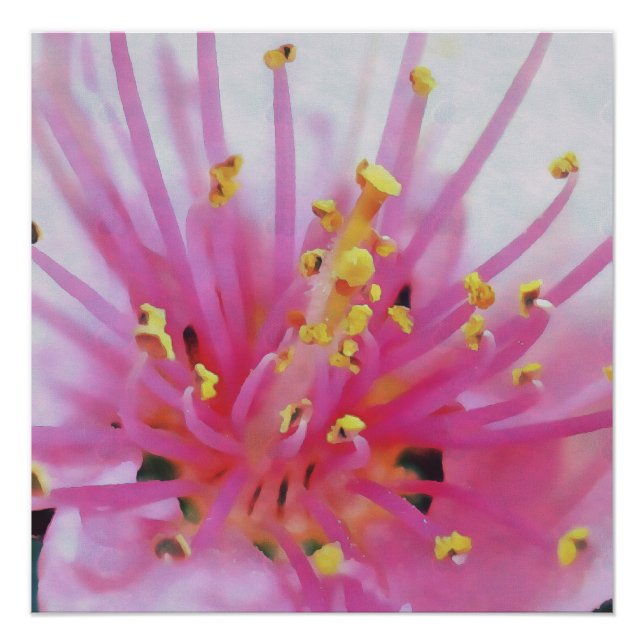 Póster Pêssego Cor-de-rosa com macros Abstrato (Frente)