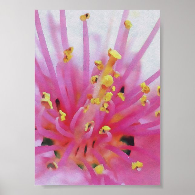 Poster Pêssego Cor-de-rosa com macros Abstrato (Frente)