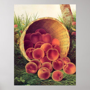 Poster Pêssegos Espalhados