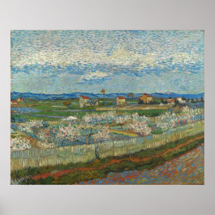 Poster Pessegueiros em Flor por Van Gogh