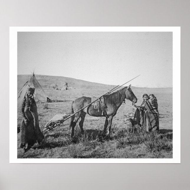 Póster Pessoas nativas americanas de árvores ocidentais d (Frente)