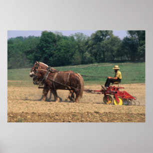 Póster Pessoas simples do País Amish na agricultura com