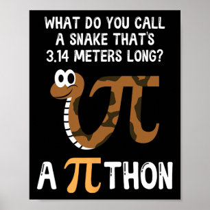 Poster Pet Cobra Math Pi Day Python