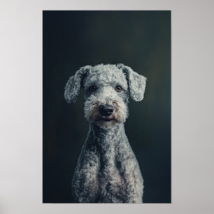Poster Pet Grooming Salon Bedlington Terrier Retrato