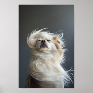 Poster Pet Grooming Salon Boutique Chihuahua Retrait