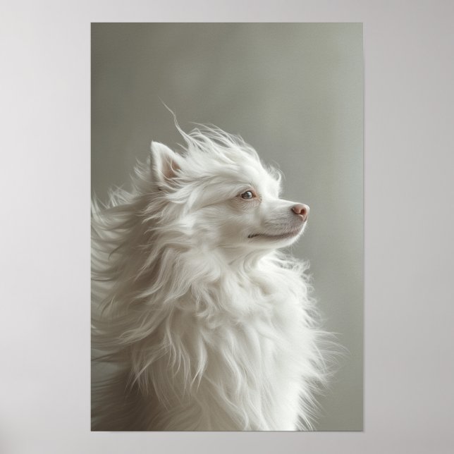 Poster Pet Grooming Salon Boutique Spitz Retrato (Frente)