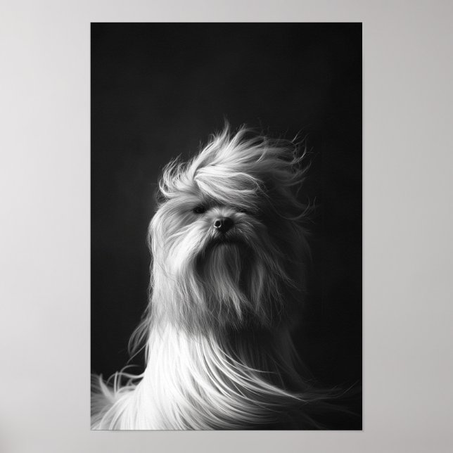 Poster Pet Grooming Salon Boutique Yorkshir (Frente)