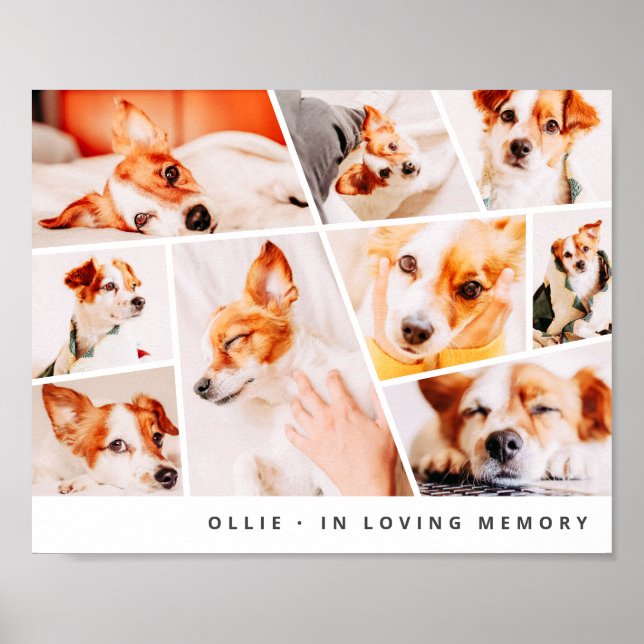 Poster Pet Memorial Modern Simple Chic 9 Collage (Frente)