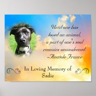 Poster Pet Memorial - Pet Loss Cote