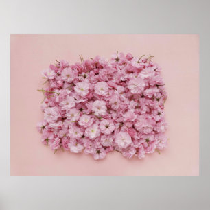 POSTER PETAIS DE PINCO E FLOR BRANCO