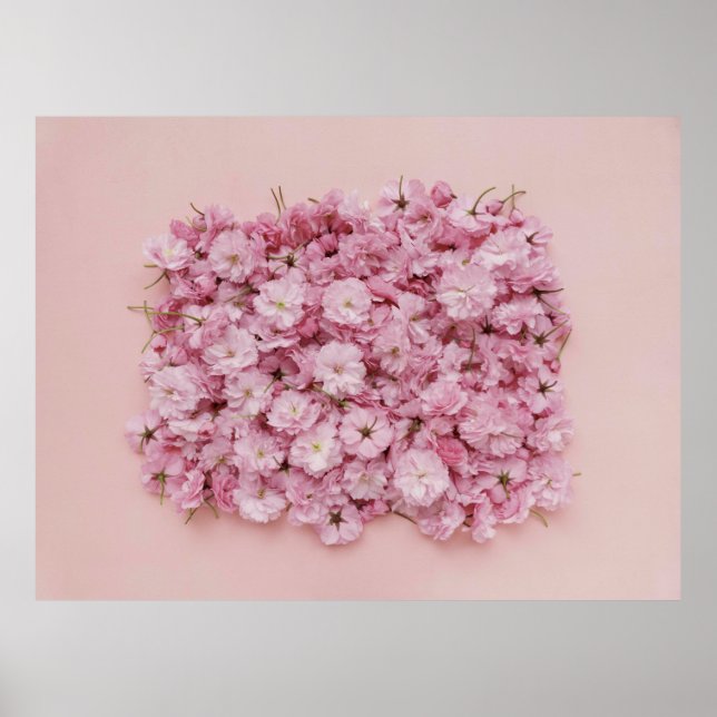 POSTER PETAIS DE PINCO E FLOR BRANCO (Frente)