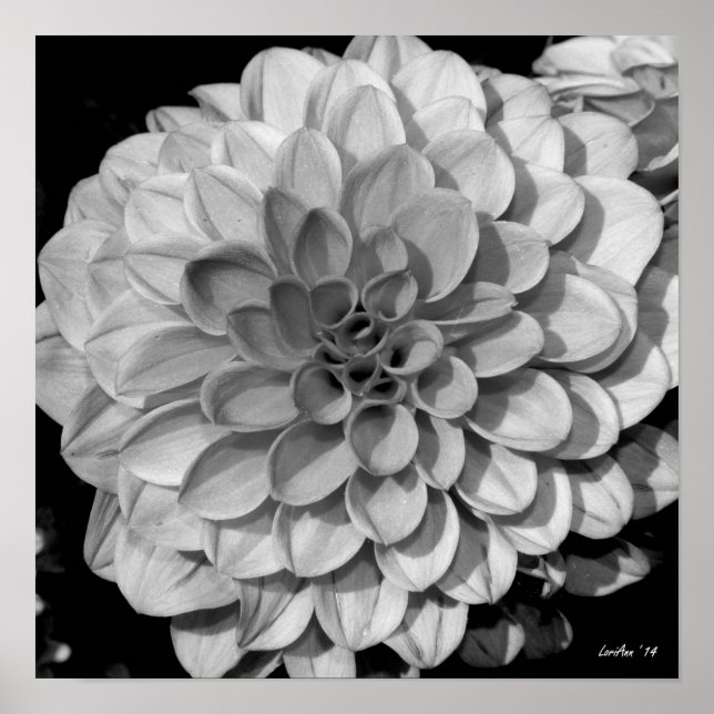 Poster Petal (Frente)