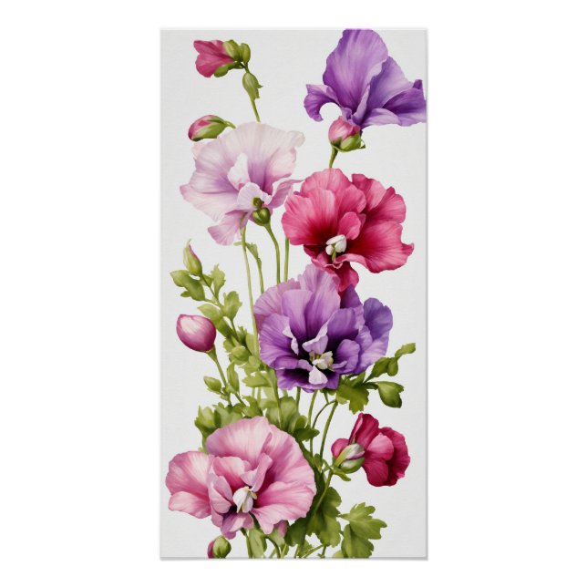 Póster Pétalas de Pastel: Flor de Ervilha Doce Estilizado (Frente)