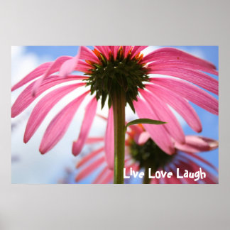 Póster Pétalas de Rosa