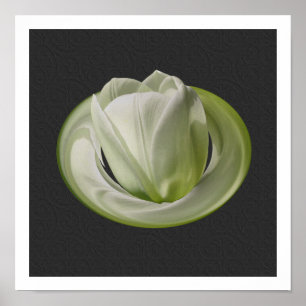 Póster Pétalas de Tulipa Branca Arte Floral