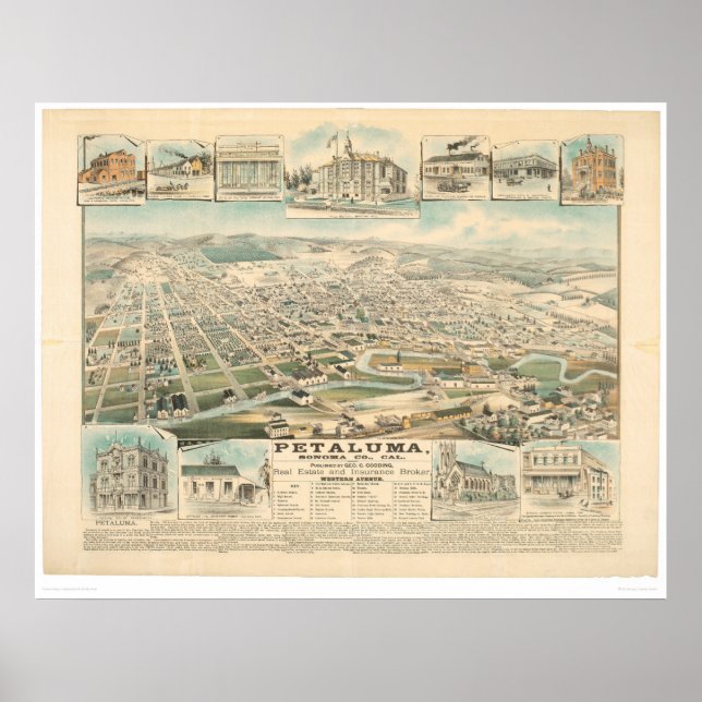 Póster Petaluma, CA. (1314A) (Frente)