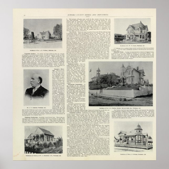 Póster Petaluma Residences, Califórnia (Frente)