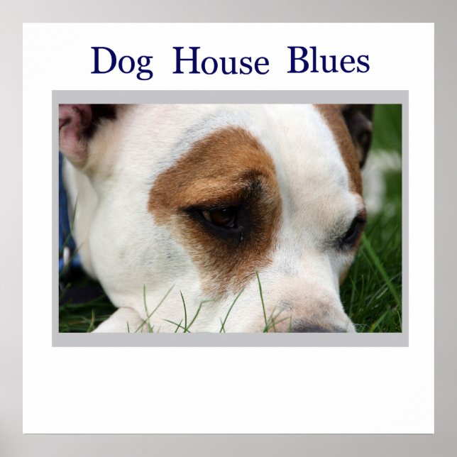 Poster Pete Pit1 (Frente)