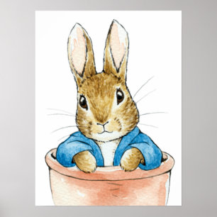 Poster Peter o Coelho Sentado no Vaso de Planta