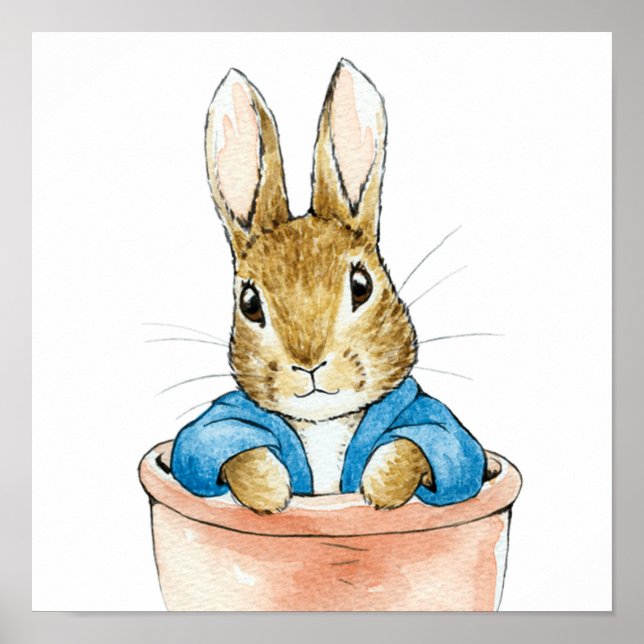 Poster Peter o Coelho Sentado num Vaso de Planta   (Frente)