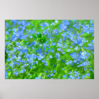 PÓSTER PETITES FLEURS BLEUS