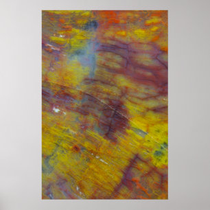 Poster Petrified Wood