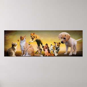 Poster Pets