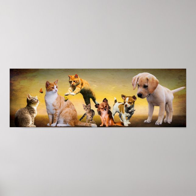 Poster Pets (Frente)
