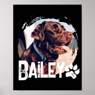 Poster Pets Simple Modern Cool Nge Name And Photo 