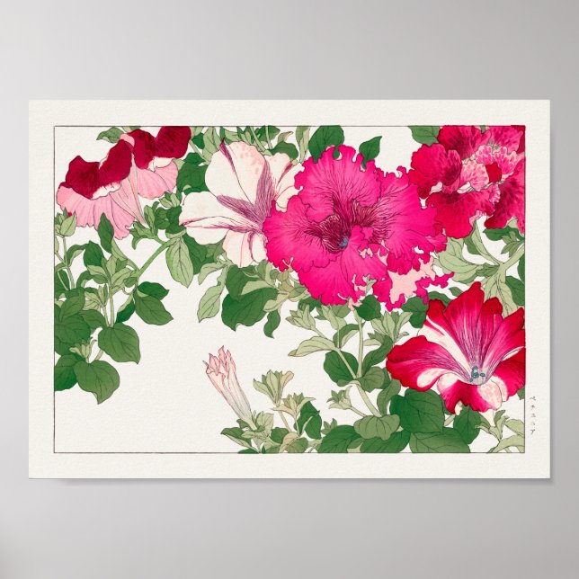Poster Petunia por Tanigami Konan (Frente)