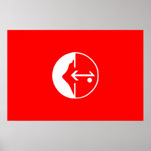 Póster Pflp, bandeira política de Colômbia