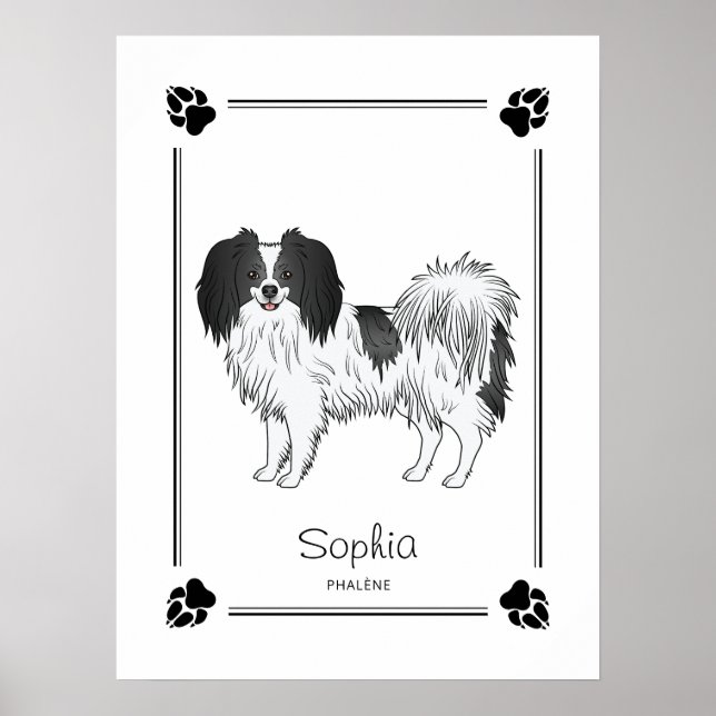 Poster Phalène Com Patas Pretas E Nome Personalizado Do C (Frente)