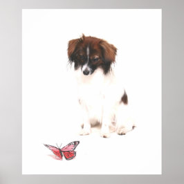 Póster Phalene Papillon com borboleta