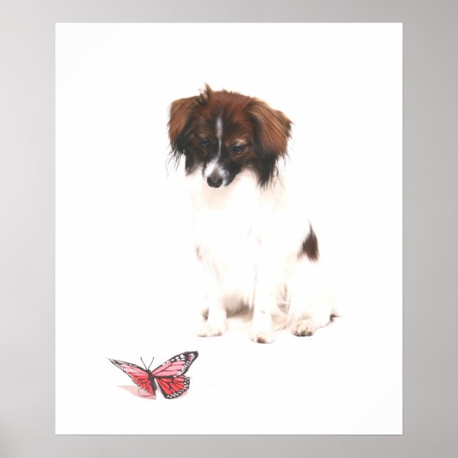 Póster Phalene Papillon com borboleta (Frente)
