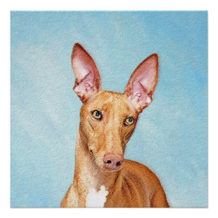 Póster Pharaoh Hound Painting - Arte Cachorra Original