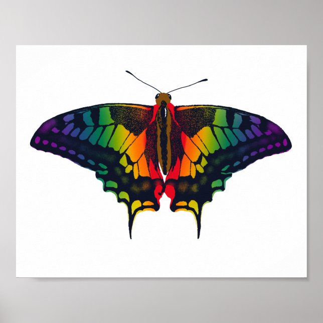Poster Philadelphia Rainbow Prim Flag Swallowtail (Frente)
