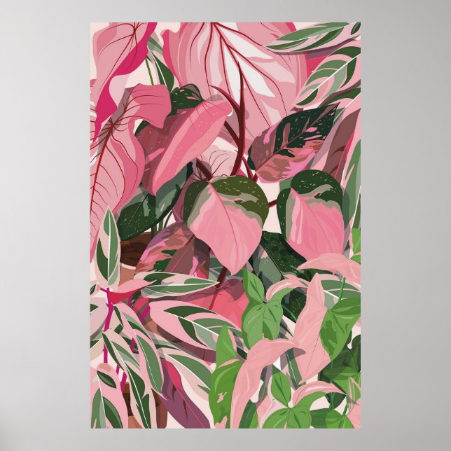 POSTER PHILODENDRON PINK PRINCESS LADIS POSTER, (Frente)