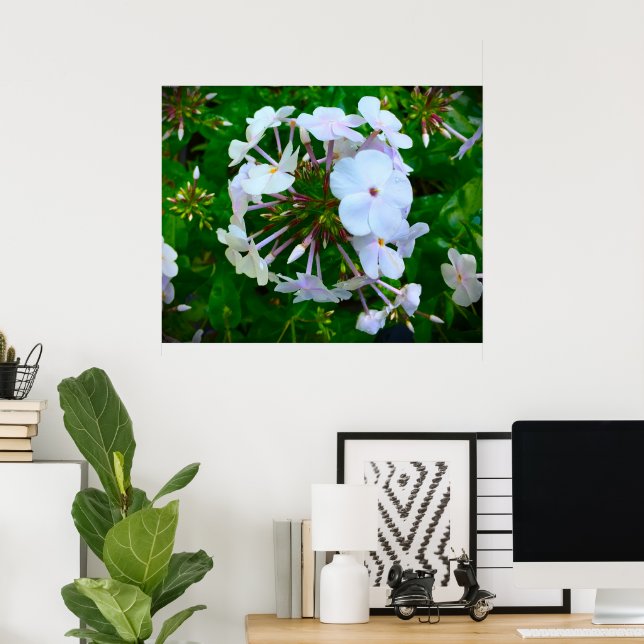 Poster Phlox, (Escritório em casa)