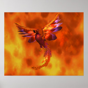 Póster Phoenix