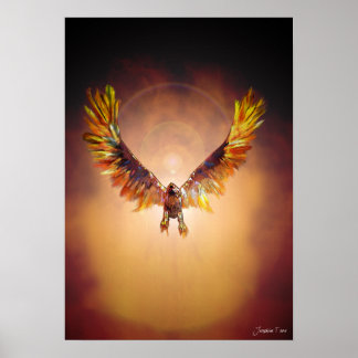 Póster Phoenix