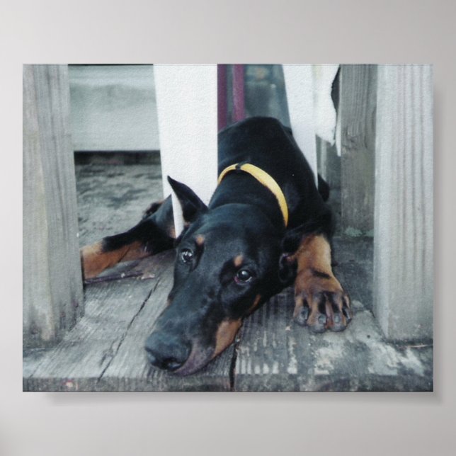 Póster Phoenix (Frente)