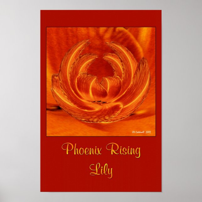 Póster Phoenix Ascensão Lily (Frente)