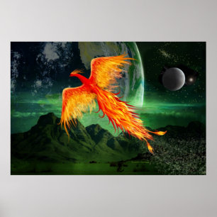 Póster Phoenix de voo alto