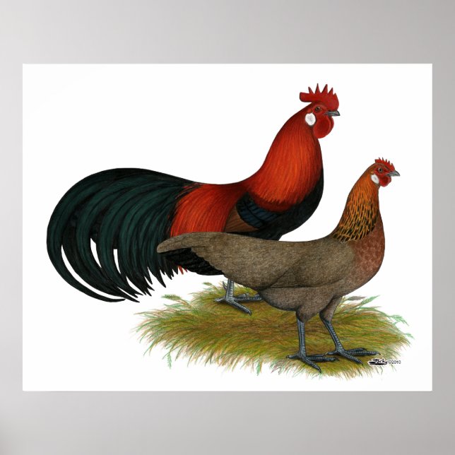 Póster Phoenix: Par Vermelho BB (Frente)